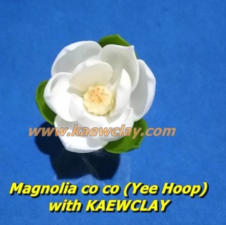 พิมพ์ตัดอลูมิเนียมดอก + ใบ ยี่หุบ Mold cutter Magnolia co co (Yee Hoop)