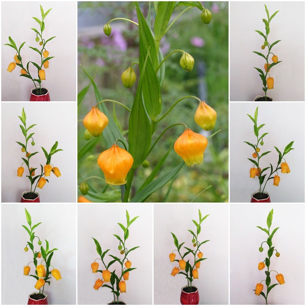 พิมพ์ตัดดอก+ใบโคมทอง(ดึงโคม)(Mold cutter Sandersonia)