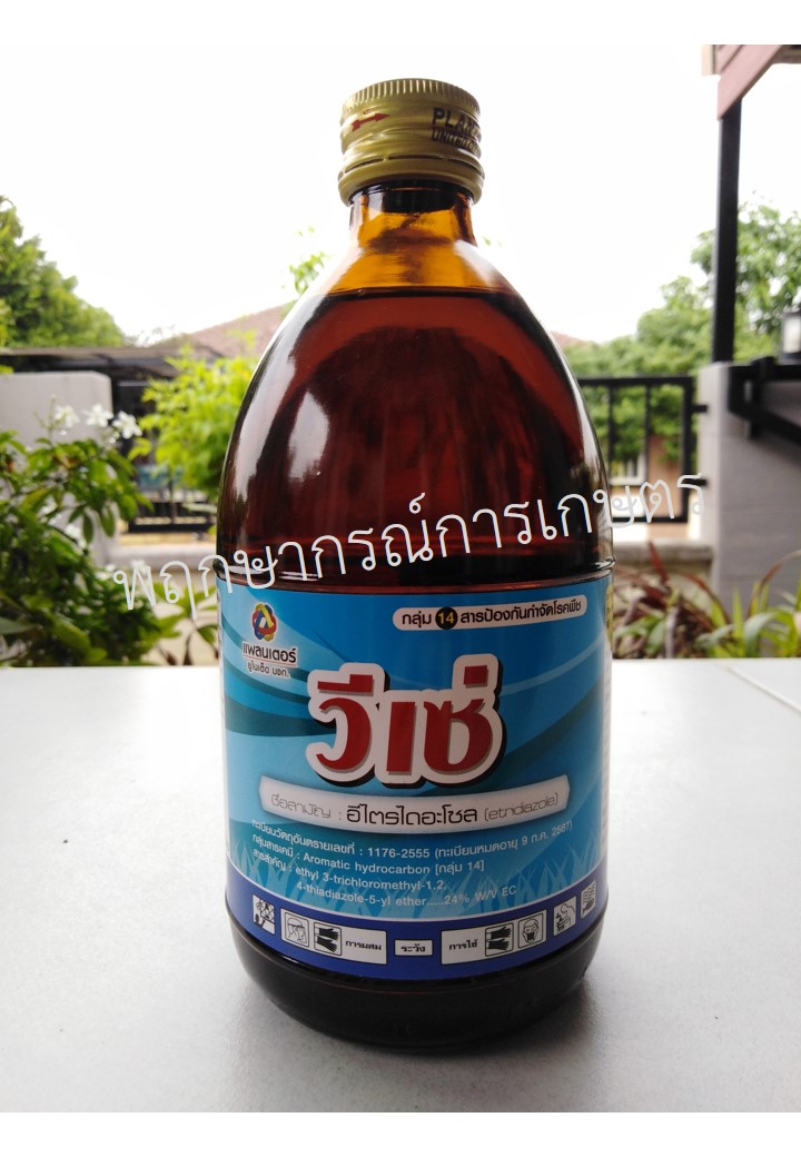 วีเซ่ 500 ซีซี