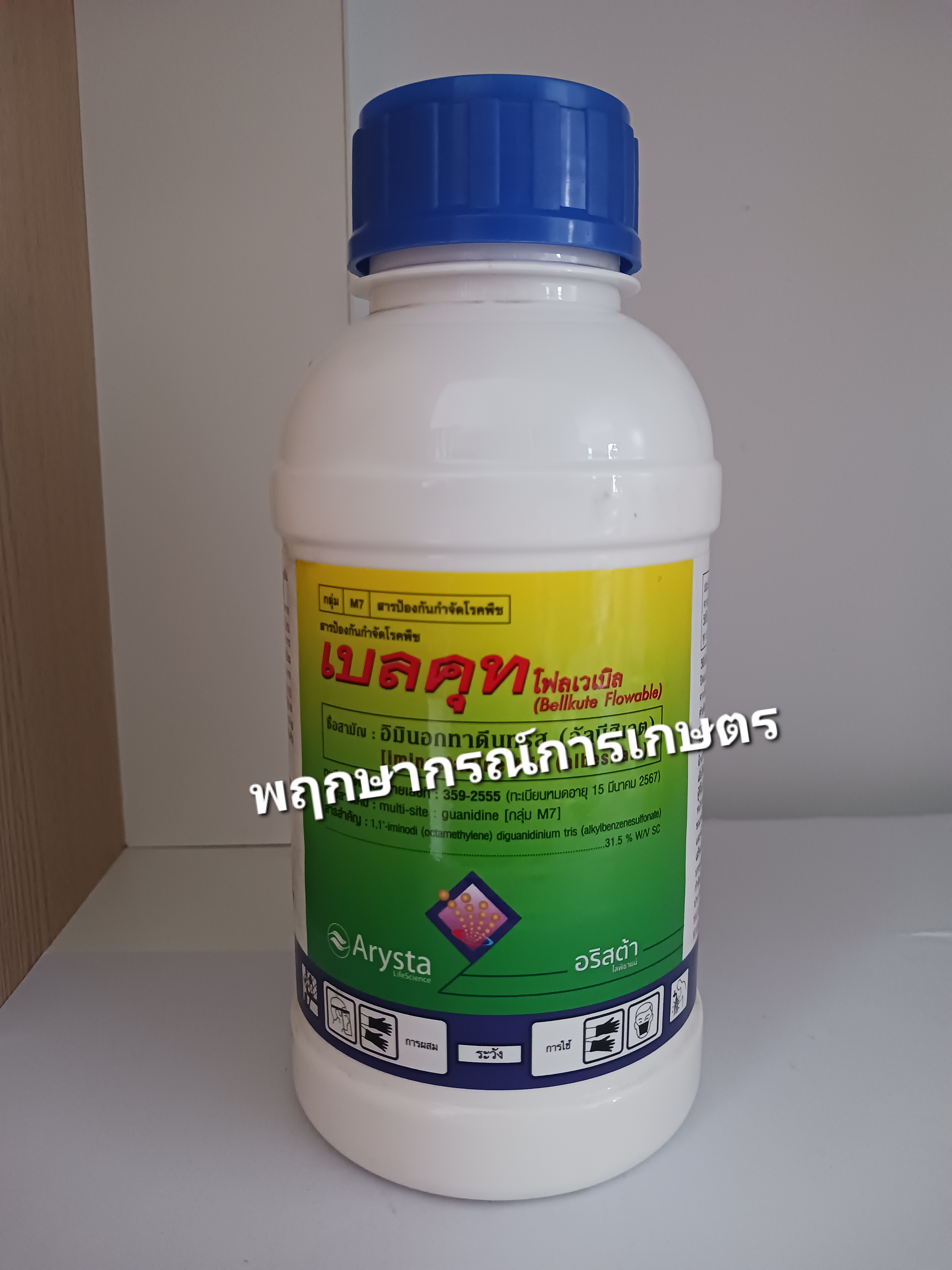 เบลคุท โพลเวเบิล