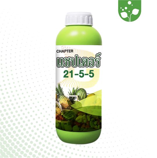 แชปเตอร์ 21-5-5
