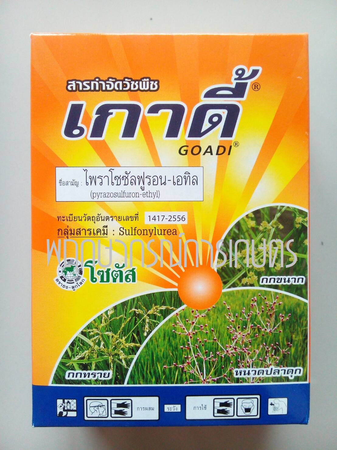 เกาดี้