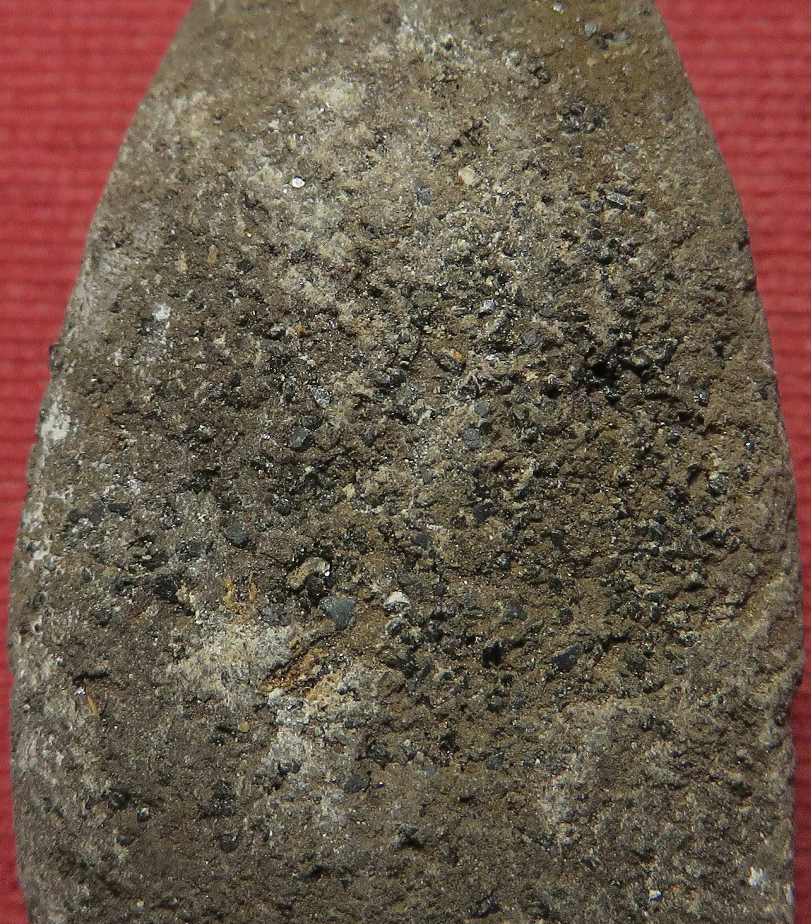 879 (2) หลวงปู่ทวด วัดช้างให้ จังหวัดปัตตานี เนื้อผงว่าน โรยแร่ เกจิอาจารย์ยุคเก่า (รับประกันพระแท้ + จัดส่งฟรีทั่วประเทศ)