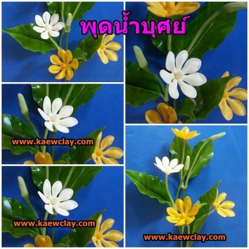 พิมพ์อลูมิเนียมตัดดอก+ใบพุดน้ำบุศย์ (Aluminum mold cutter Gardenia carinata Wallich. + leaves )
