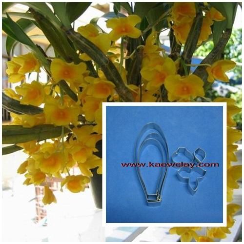 พิมพ์ตัดกล้วยไม้เอื้องผึ้ง,เอื้องหม่อนไข่(Aluminum mold cutter Dendrobium lindleyi Steud orchids.) สำเนา