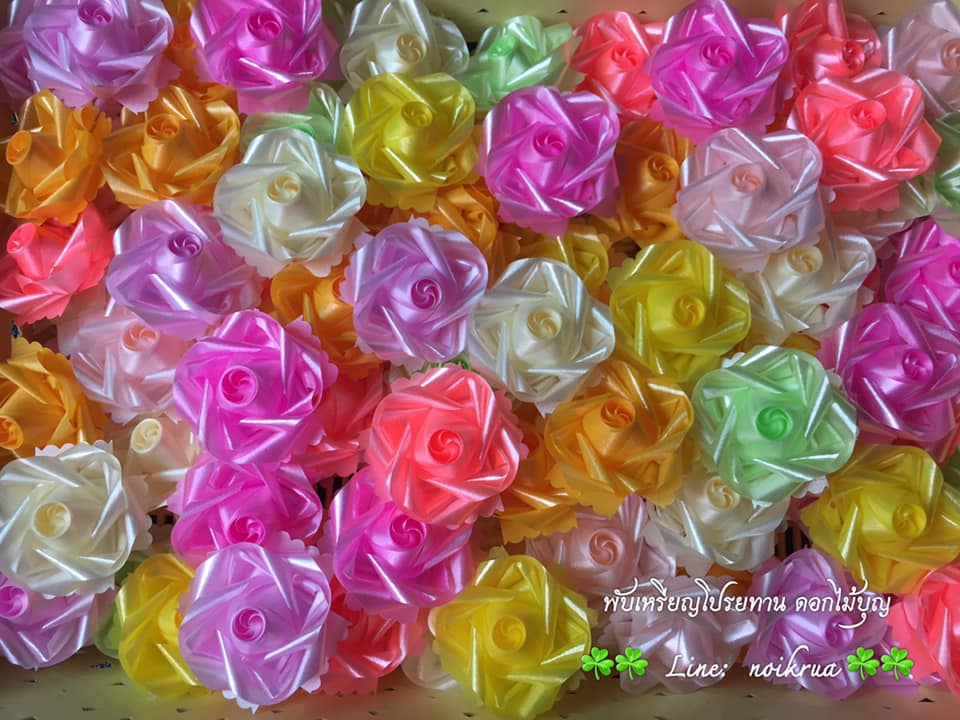 ดอกฟรีเซียคละสี