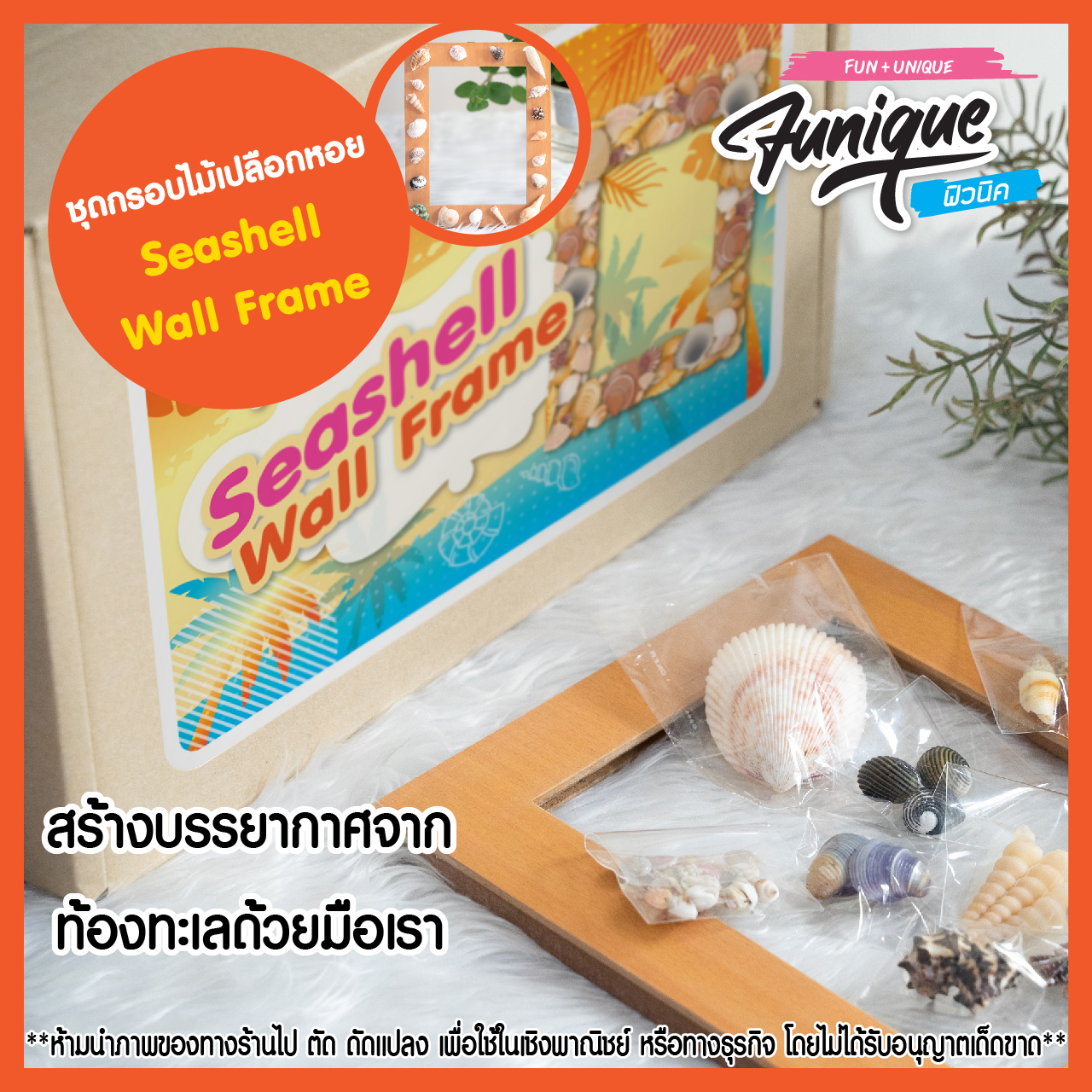 ชุดกรอบรูปเปลือกหอย Seashell Wall Frame