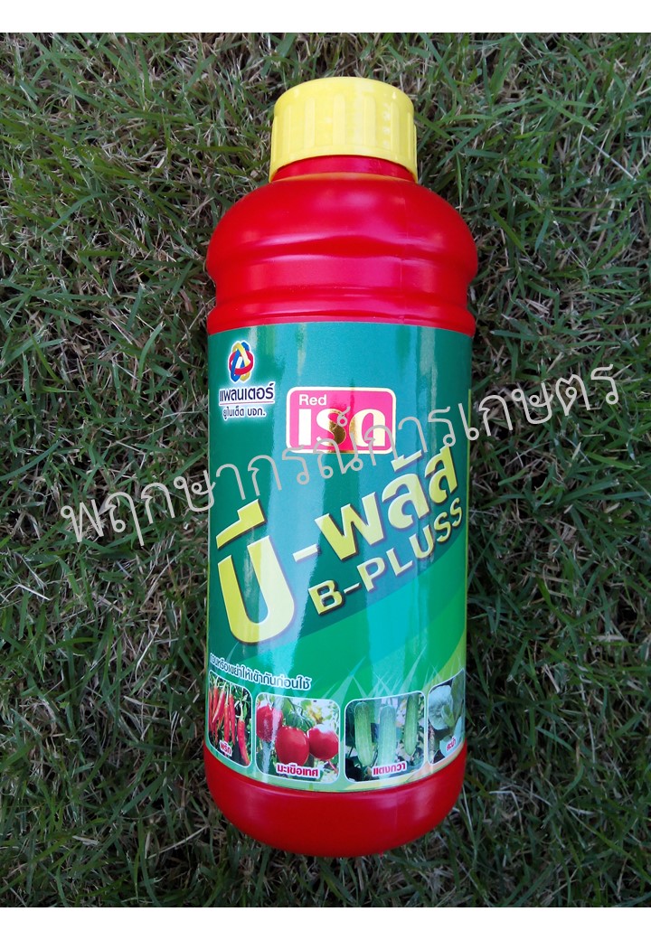 บี-พลัส