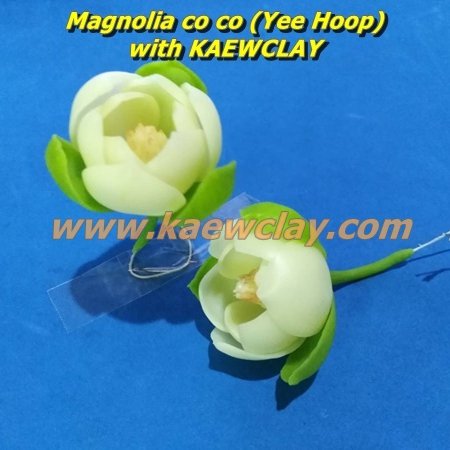 พิมพ์ตัดอลูมิเนียมดอก + ใบ ยี่หุบ Mold cutter Magnolia co co (Yee Hoop)