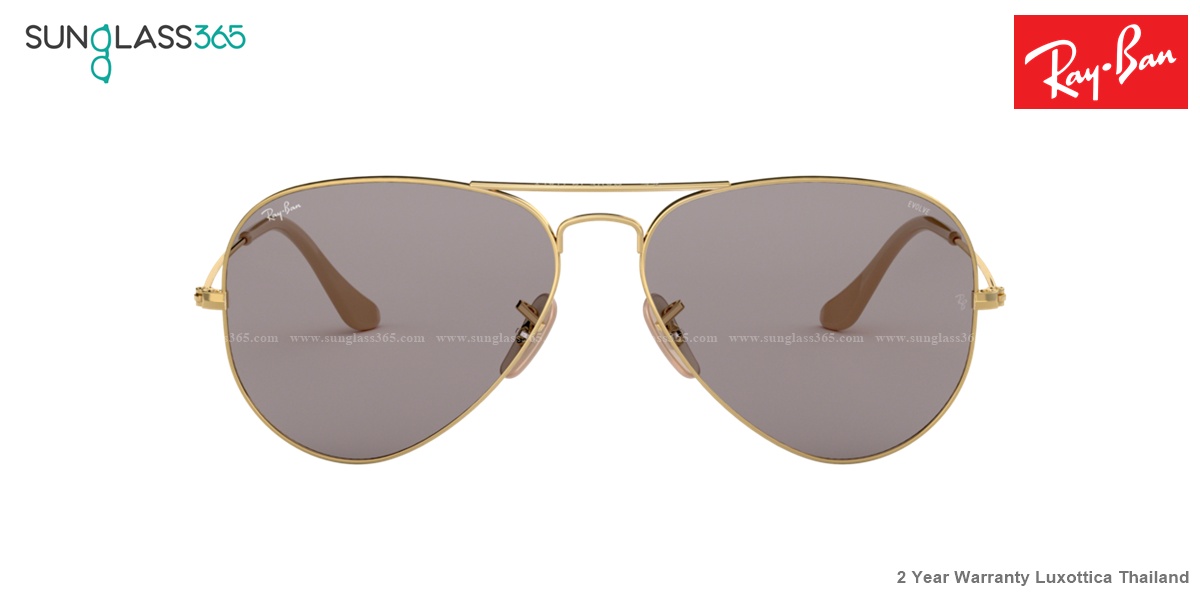 Ray Ban Aviator Evolve RB3025 9064V8 Grey Photochromic
