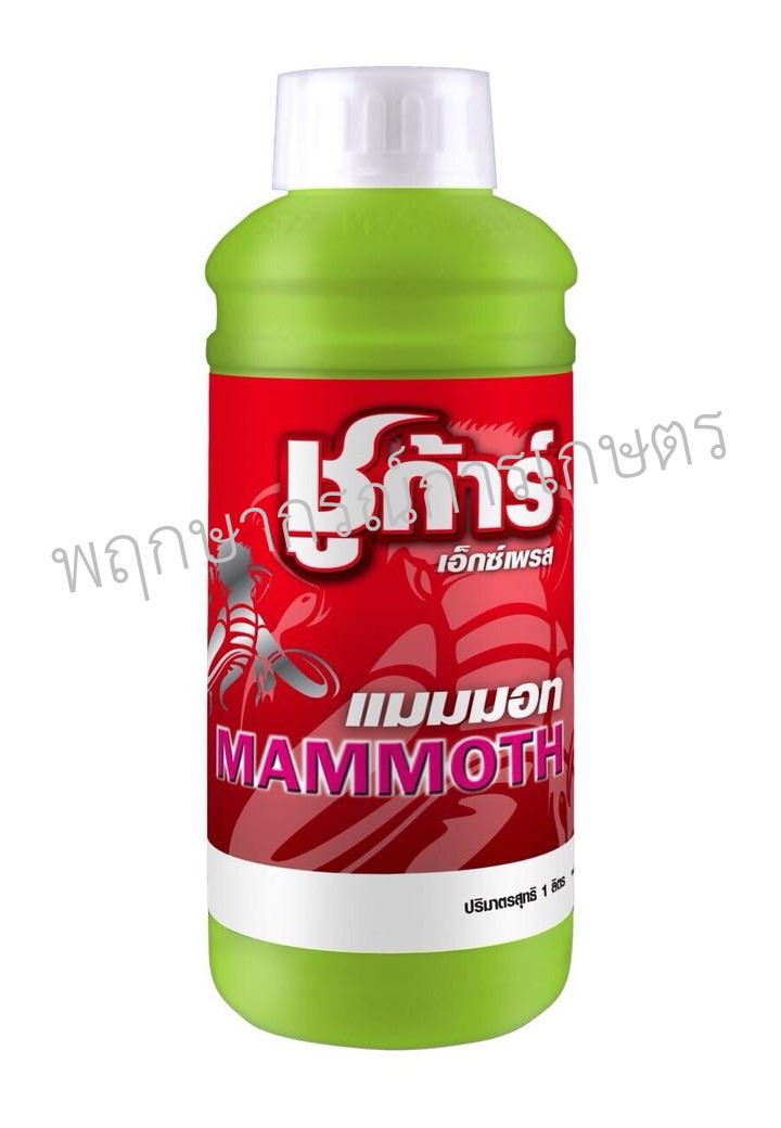 แมมมอท ชูก้าร์ เอ็กซ์เพรส