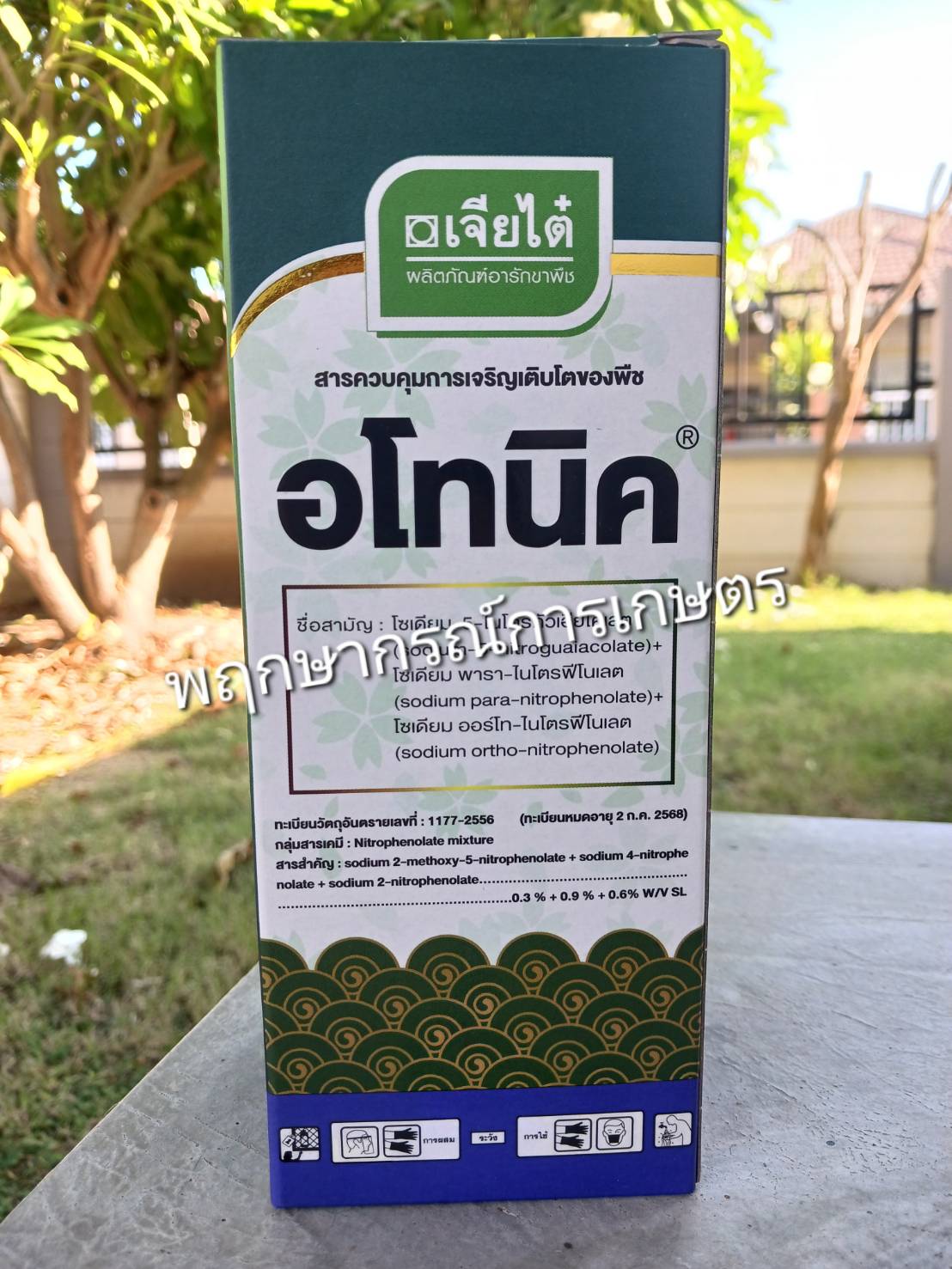อโทนิค 100 ซีซี