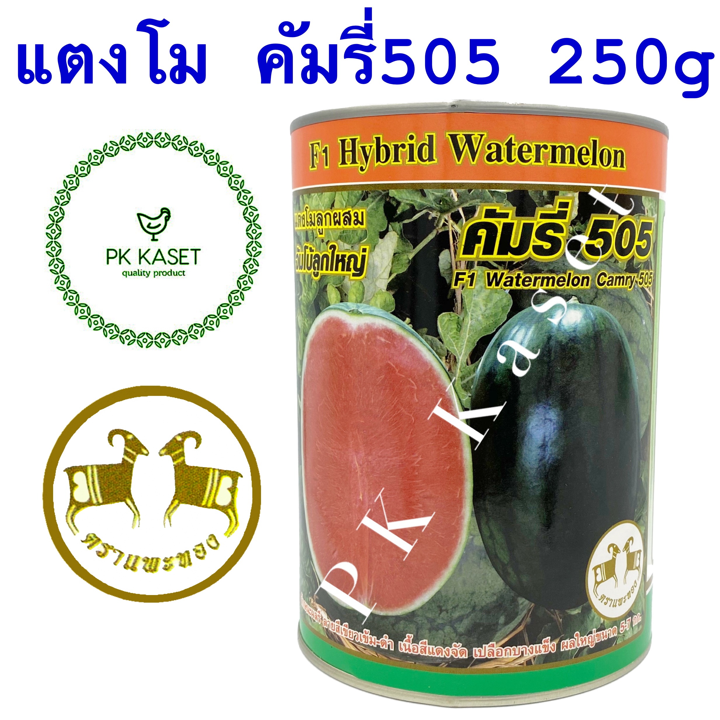 เมล็ดแตงโม คัมรี่ 505 ตราแพะทอง กระป๋อง ขนาด 250 g แตงโมลูกผสม F1 จัมโบ้ลูกใหญ่