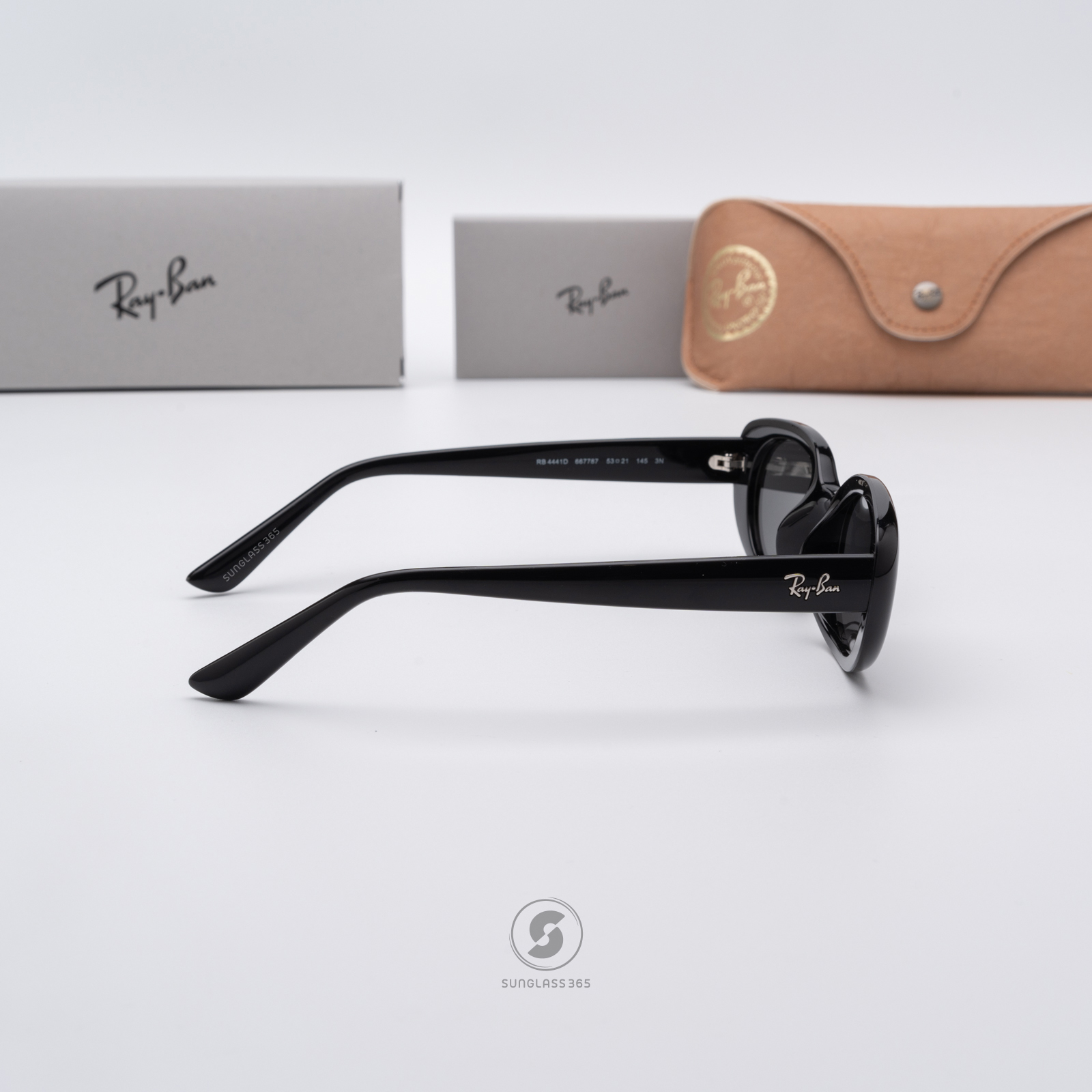 Ray-Ban RB4441D 667787 Black