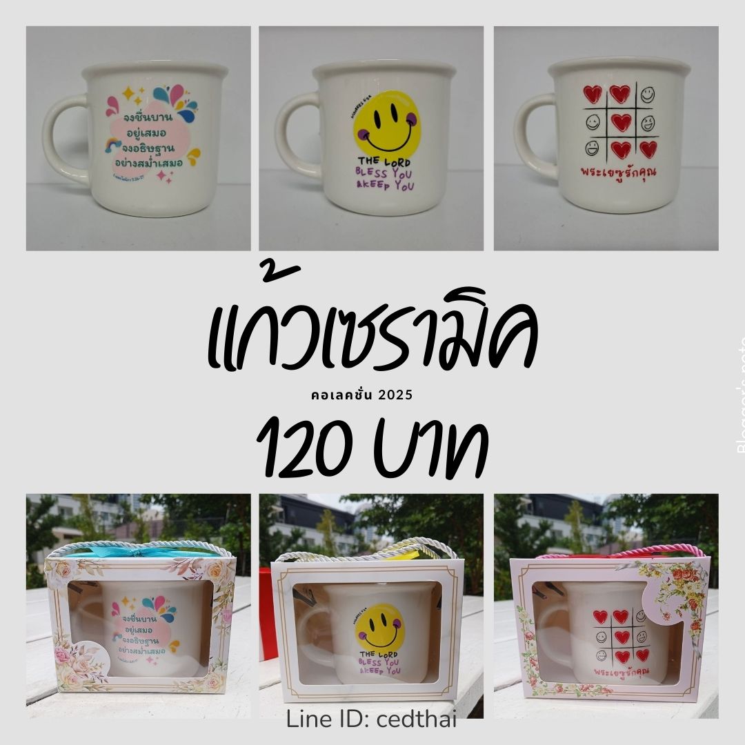 แก้วเซรามิค พิมพ์ลาย