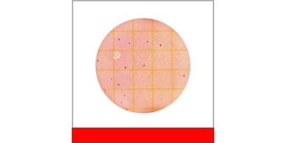 CC แผ่นเพลทอาหารเลี้ยงเชื้อสำเร็จรูป สำหรับทดสอบเชื้อโคลิฟอร์ม 3M™ Petrifilm™