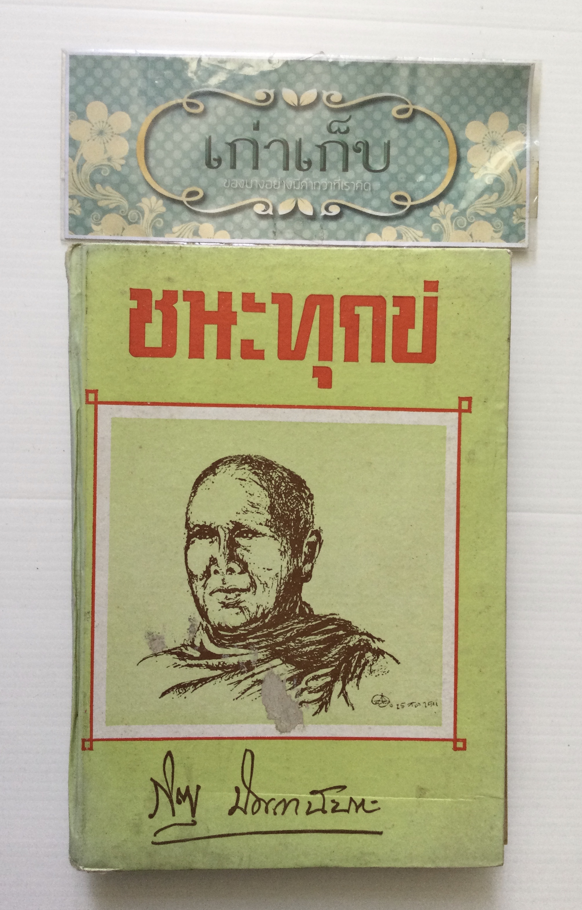 ชนะทุกข์ โดย ภิกขุปัญญานันทะ
