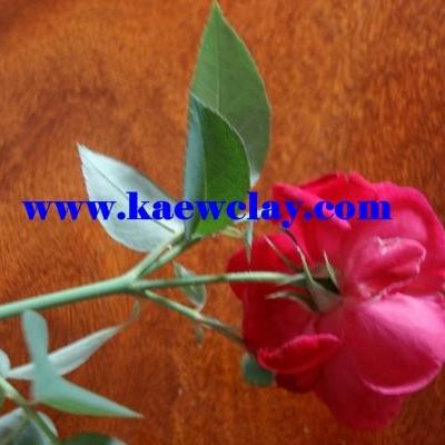 พิมพ์ตัดอลูมิเนียมกุหลาบมอญ(Aluminum mold cutter Rosa damascena )