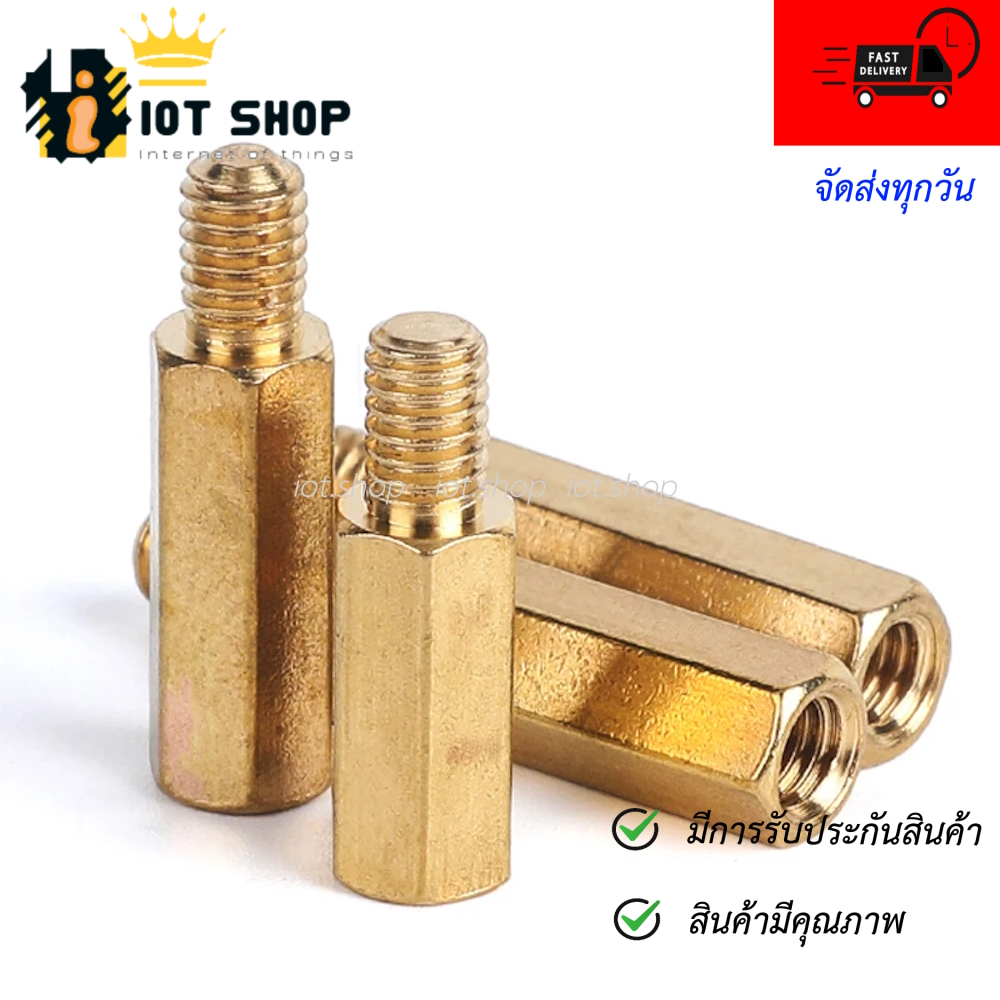 น็อตทองเหลือง M3 ชุดละ 10 ชิ้น