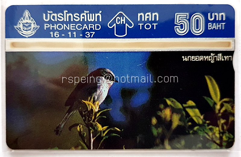 บัตรโทรศัพท์ ทศท. นก นกยอดหญ้าสีเทา 16-11-37