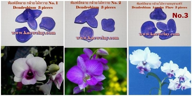 พิมพ์อัดลายโนบิเล่,หวาย (Veiners Dendrobium Nobile)