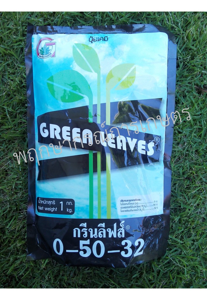 กรีนลีฟส์ 0-50-32