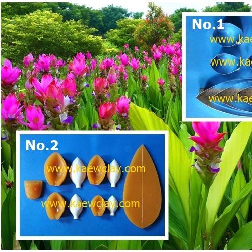 พิมพ์อลูมิเนียมตัดดอกกระเจียว(ดอกปทุมมา)+ใบ(Aluminum mold cutter Curcuma alismatifolia (Siam tulip) + leaves )