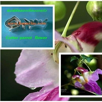 พิมพ์ตัดดอกเทียนนกแก้ว ( Aluminum mold cutter parrot flower )