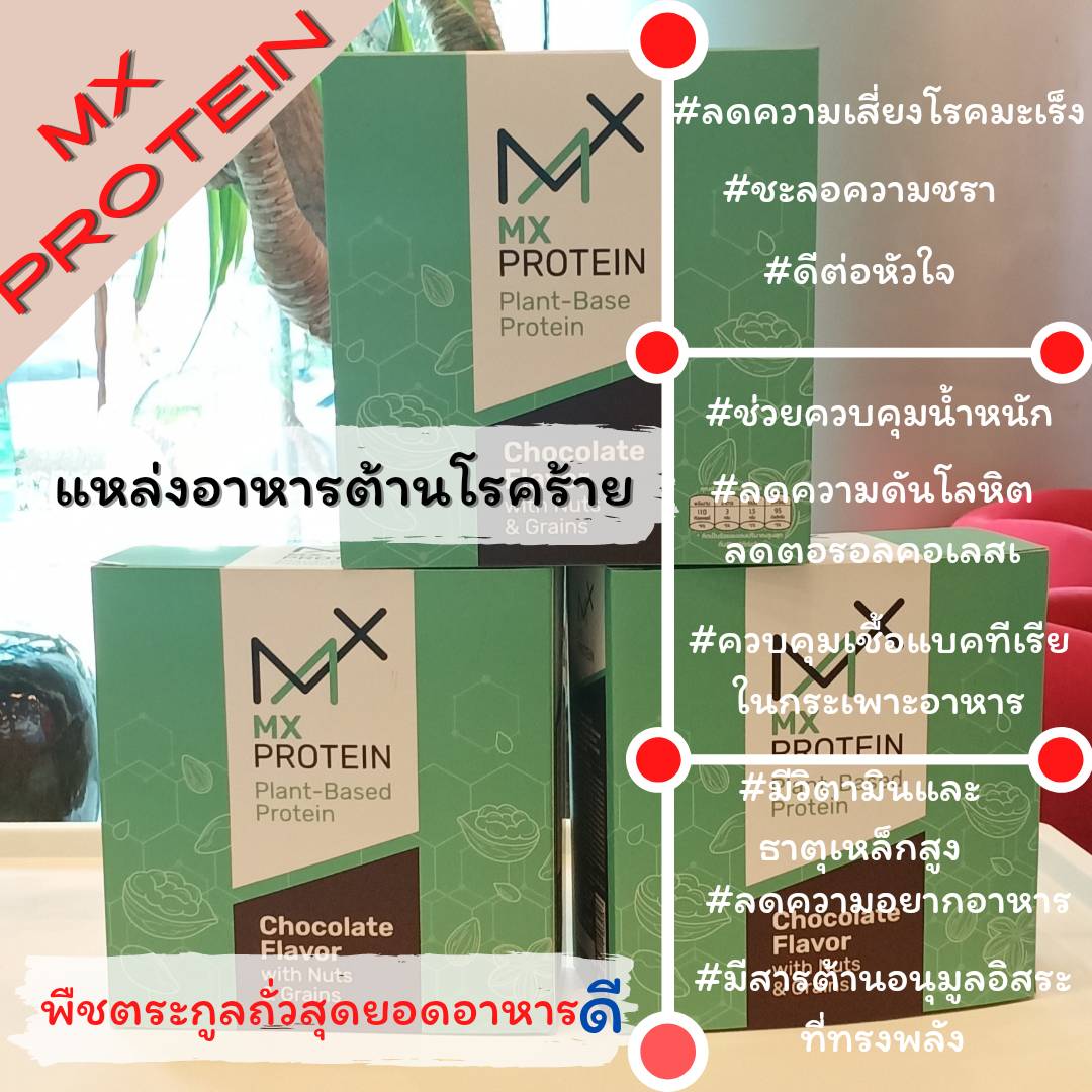 Mx Protein (เอ็มเอกซ์โปรตีน) โปรตีนพืชล้วน