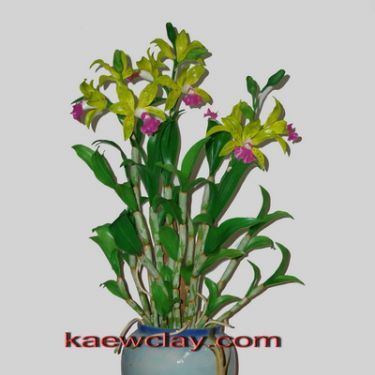 พิมพ์ตัดดอกกล้วยไม้แคทลียาลีโอพอลดี้(Aluminum mold cutter Cattleya leopoldii )