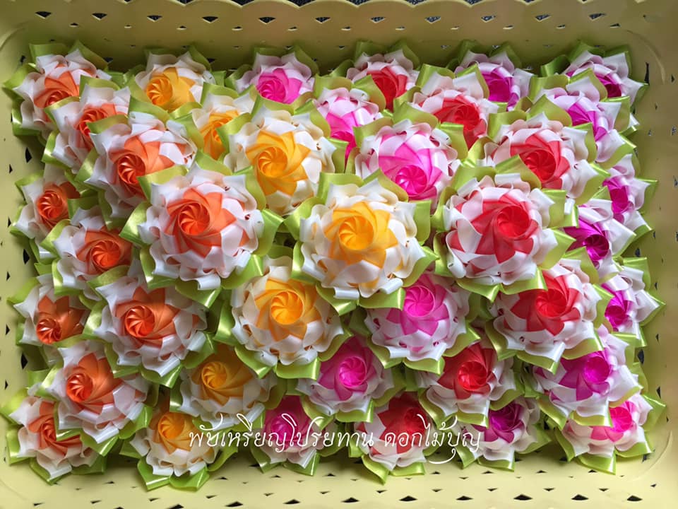บัวปทุมมาสองสี