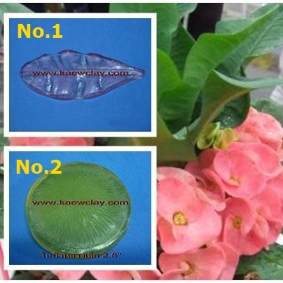 เรซินอัดลายใบ+ดอกโป้ยเซียน(Veiners Leaf + Corow of Thorns flower)