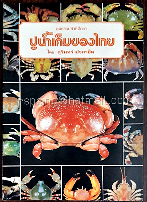 ปูน้ำเค็มของไทย