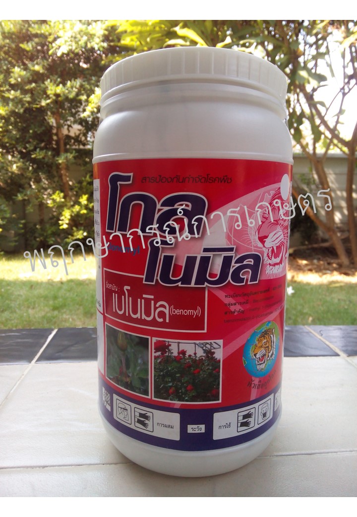 โกลโนมิล