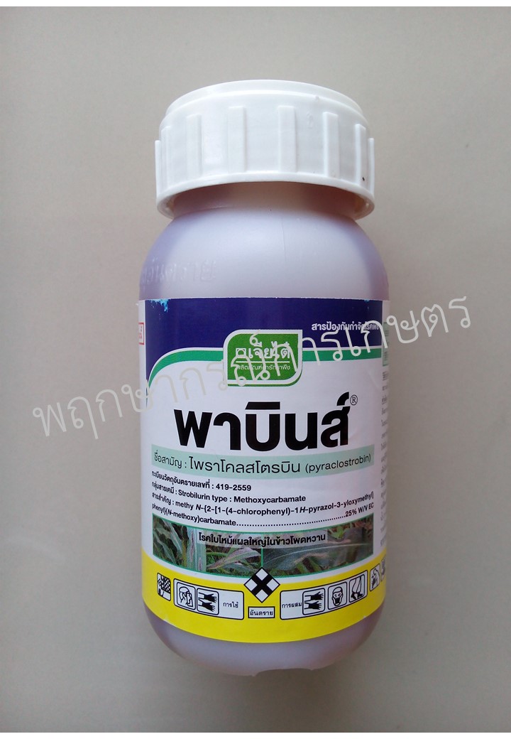 พาบินส์ 250 ซีซี