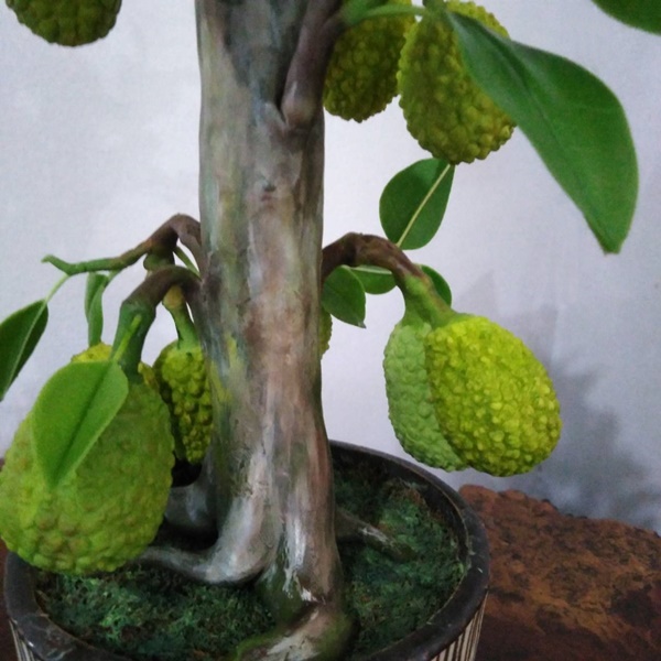 DVD การสอนทำต้นขนุน หรือ Link Online (DVD How to make Jackfruit with KAEWCLAY)