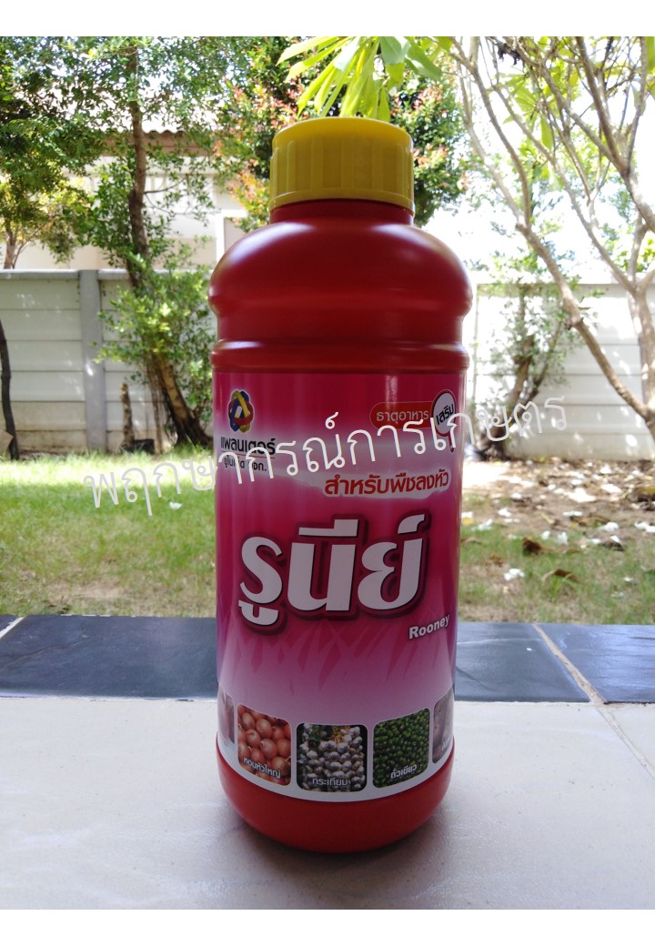 รูนีย์