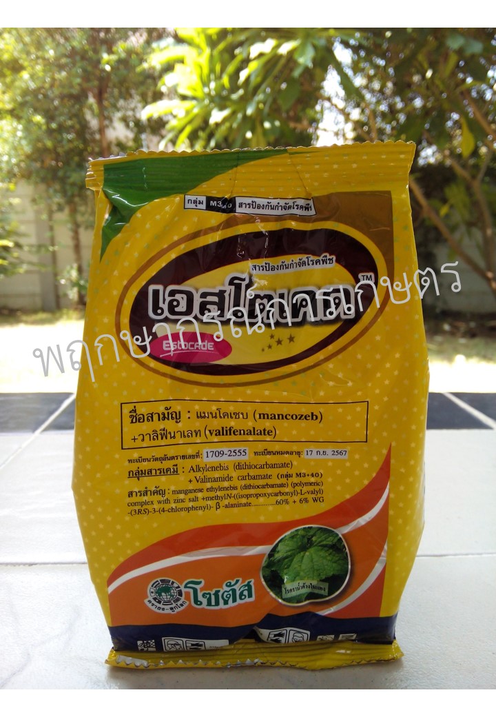 เอสโตเคด