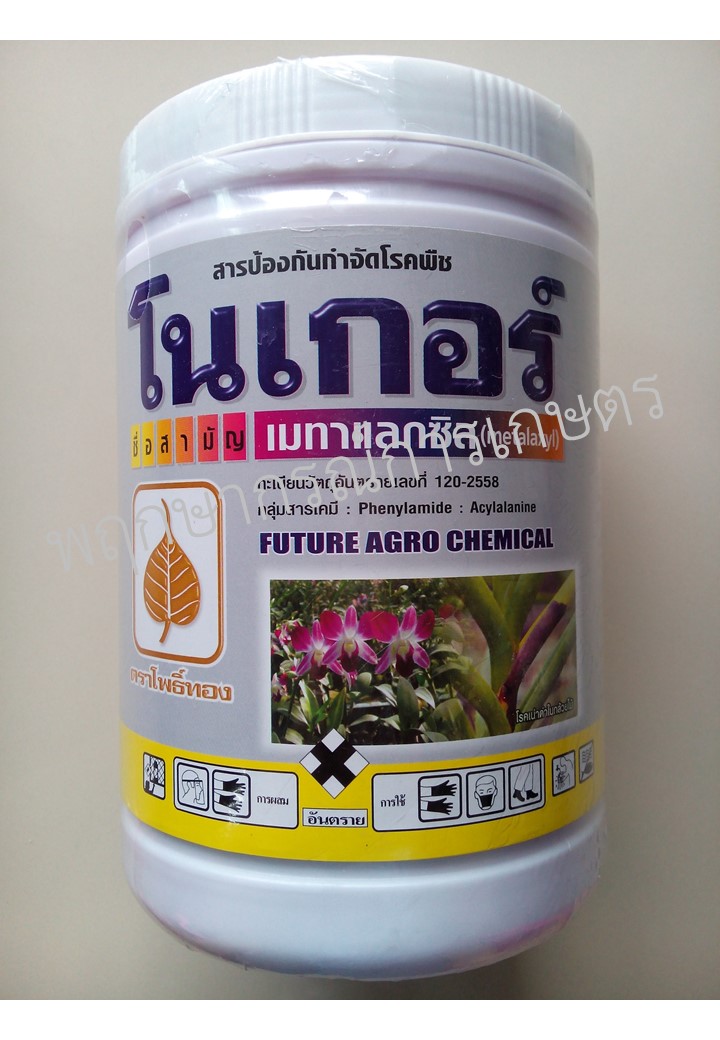 โนเกอร์ (สีขาว)
