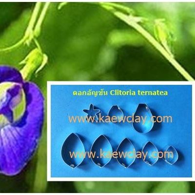พิมพ์อลูมิเนียมตัดดอกอัญชัน+ใบ(Aluminum mold cutter Clitoria ternatea + leaves )