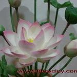 DVD หรือ Link Online การสอนทำดอกบัวหลวง(DVD How to make LOTUS with KAEWCLAY)