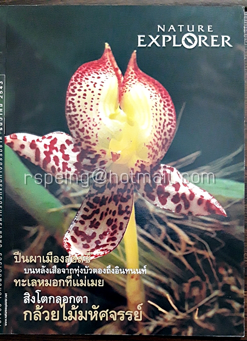 Nature Explorer Vol.12 / December 2000