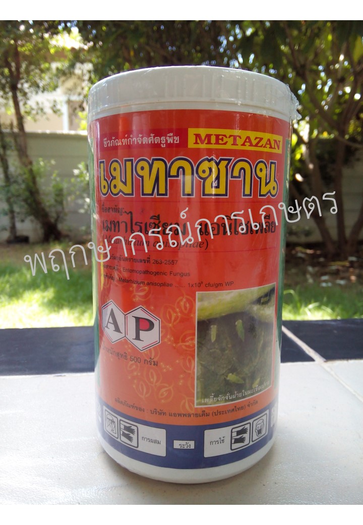 เมทาซาน