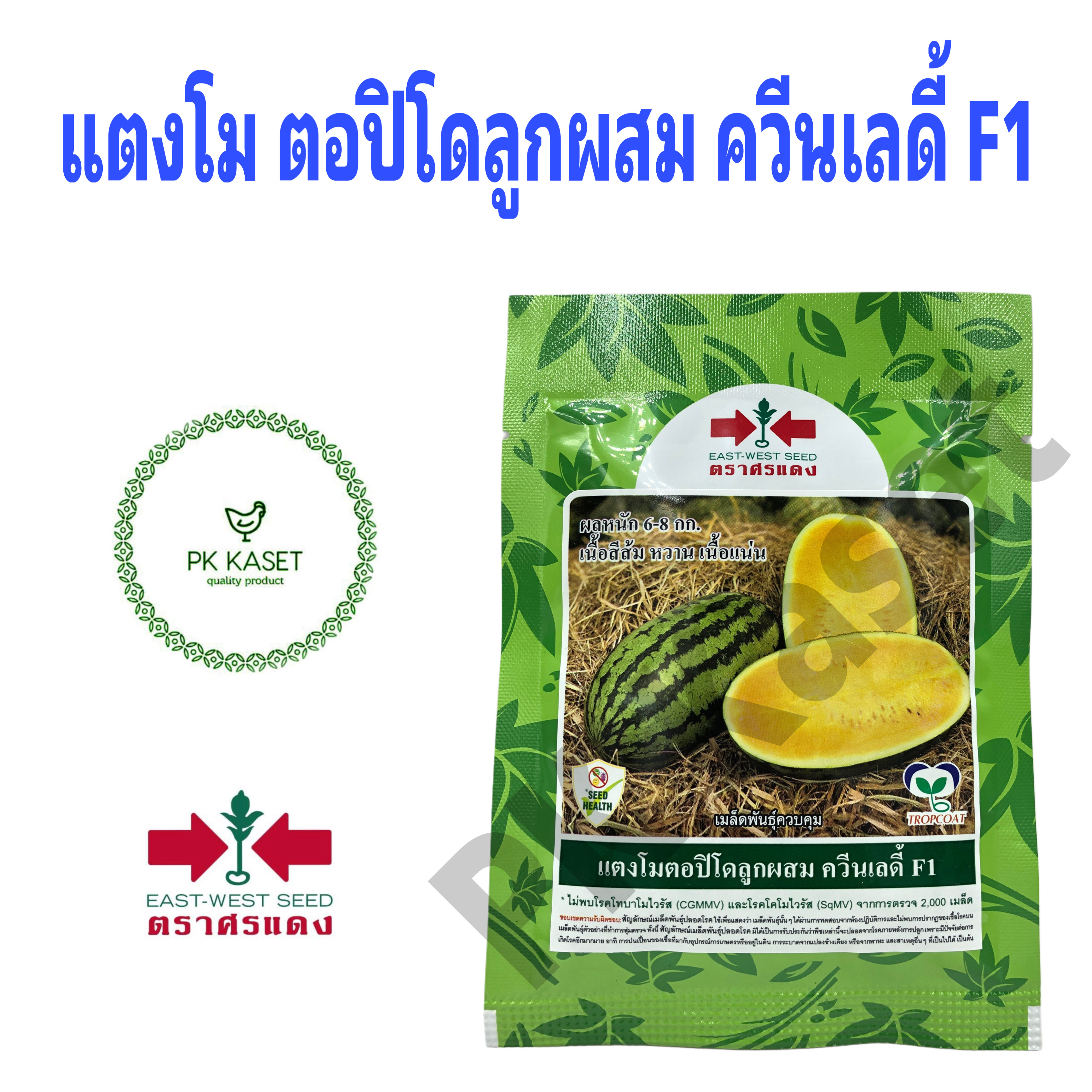 เมล็ดแตงโมตอปิโดลูกผสม ควีนเลดี้ F1 40g ตราศรแดง ซองใหญ่