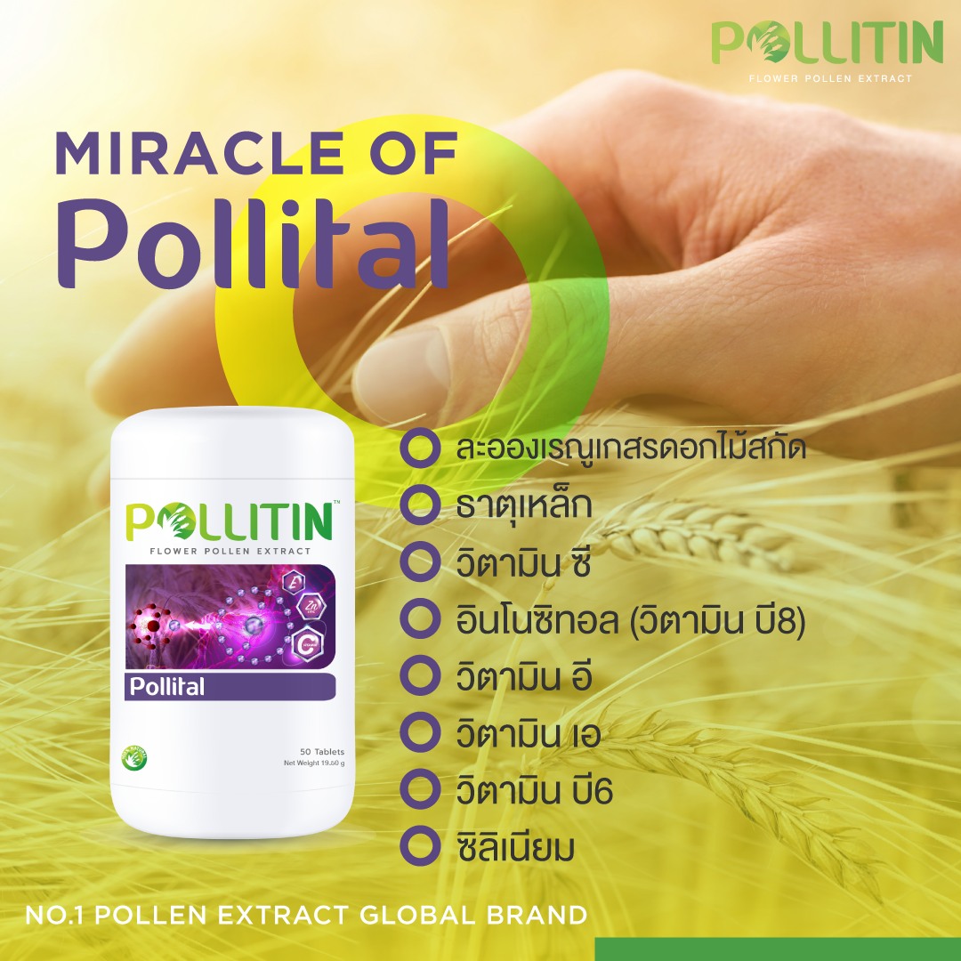 พอลลิทอล Pollital (สีม่วง)