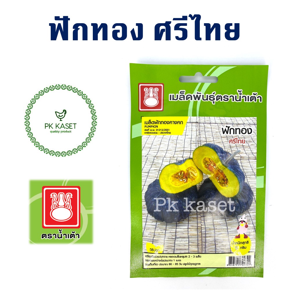 เมล็ดฟักทอง ศรีไทย ตราน้ำเต้า ซองประหยัด ผักสวนครัว