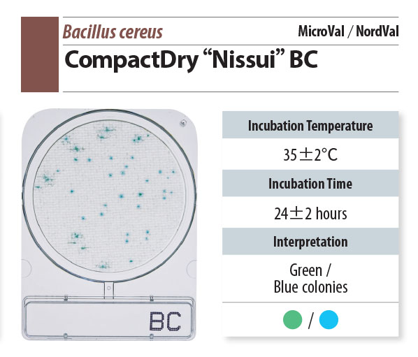 ชุดทดสอบบาซิลลัส ซีเรียสในภาชนะสัมผัสอาหารและมือ/Swab B.cereus (Compact Dry BC)