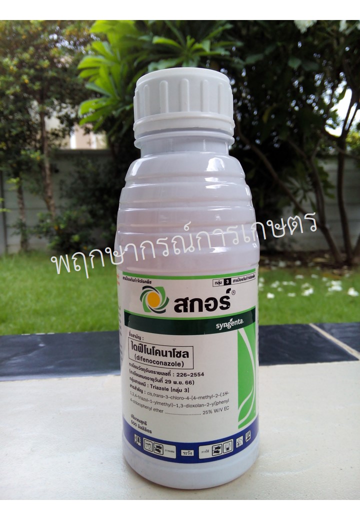 สกอร์ 250 ซีซี