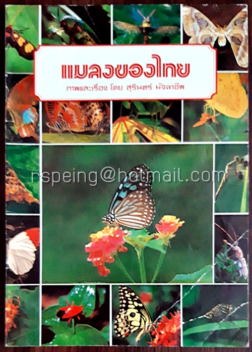 แมลงของไทย