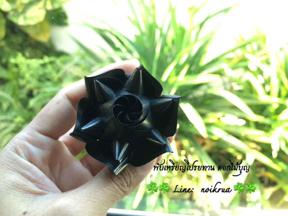 ดอกบัวดินสีขาวดำ เหรียญโปรยทาน